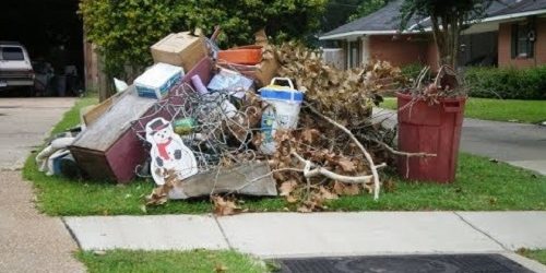 Yard Waste Cleanout